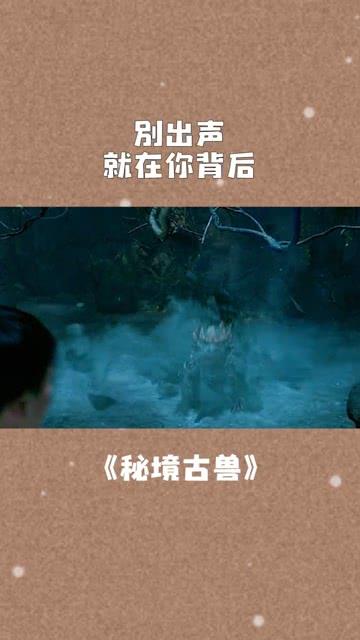 救援大嘴鸟